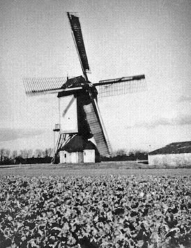 de molen in 1939