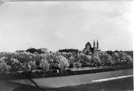 a picture taken from the windmill