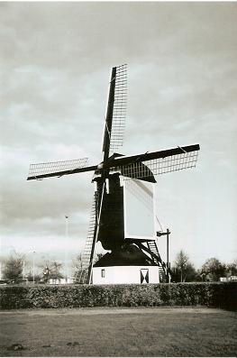 redelijk recente foto maar zwart/wit