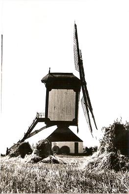 tussen de korenschoven